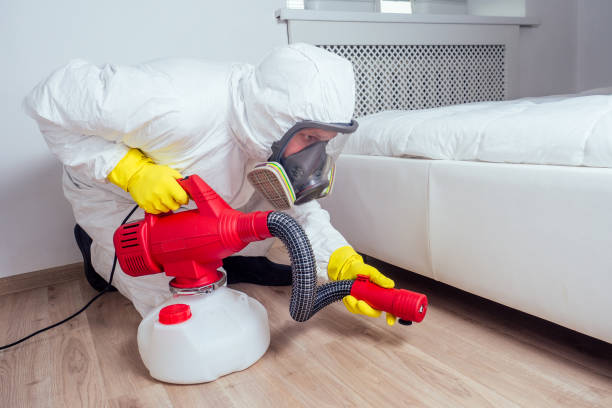 Best Wasp Removal Services  in Lochsloy, WA